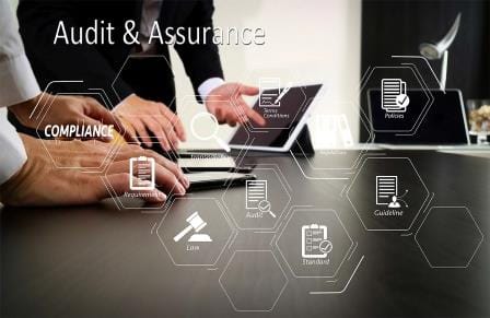 Audit and assurance services by Chartered Accountants in Delhi for compliance and financial reporting.